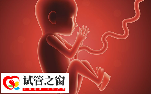 检查二超显示胎儿发育正常可以毕业