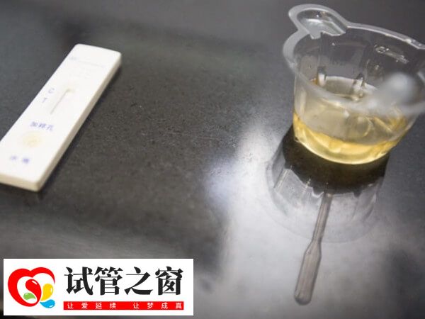 尿液被稀释会测不出怀孕