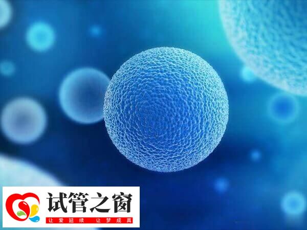 试管移植后出现血栓很正常
