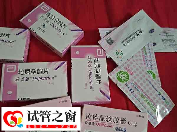 雪诺酮与地屈孕酮作用类似