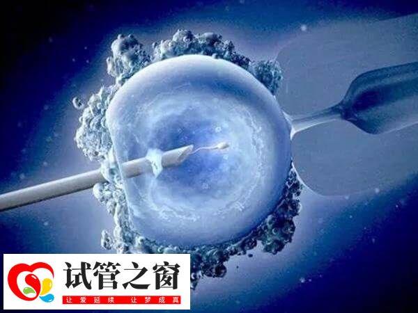胚胎移植后拉肚子可能是药物作用