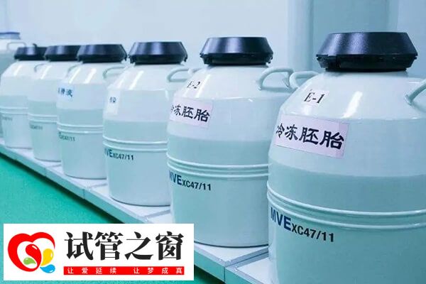胚胎质量与冷冻的时间是无关