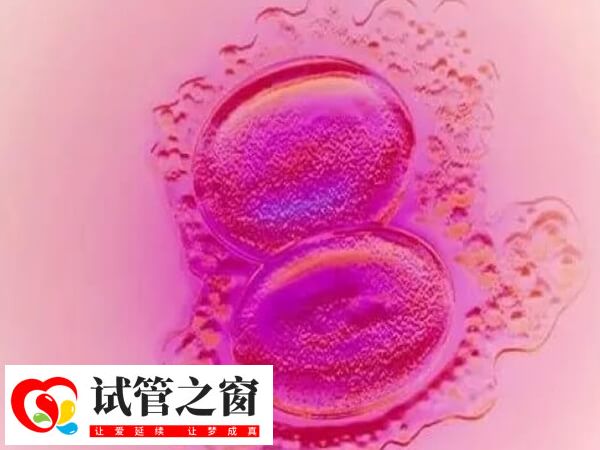 囊胚移植第4-7天开始着床