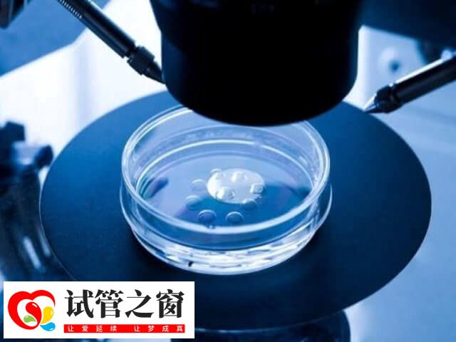 6aa囊胚被认为是优质的胚胎
