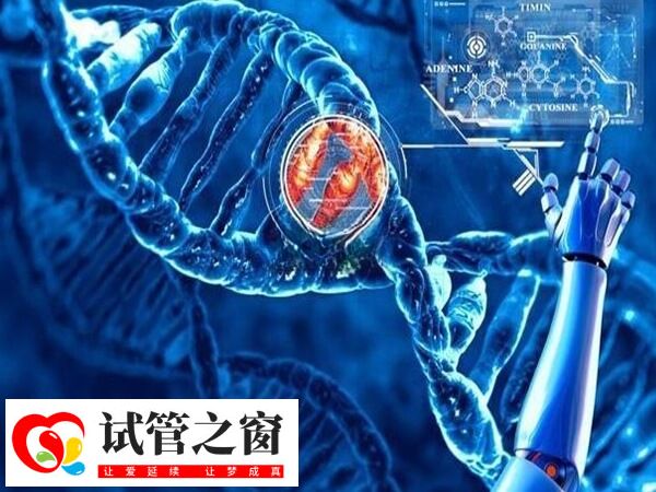 基因检测可以减少染色体异常到的妊娠失败