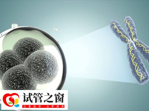 囊胚着床成功也会引起尿频