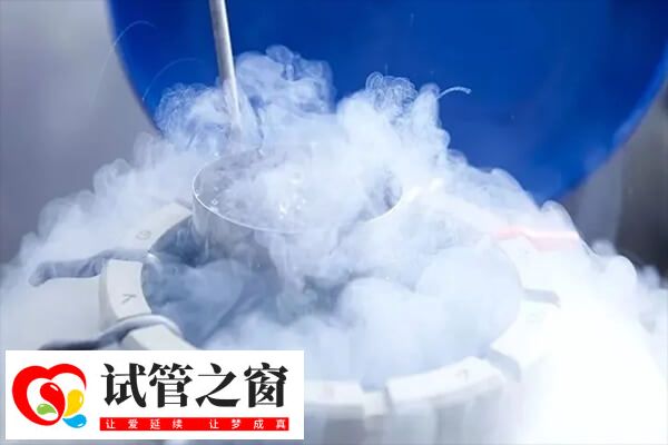 囊胚移植的成功率通常高于冻胚