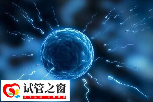 宫腔灌注是一种常见的辅助生殖技术