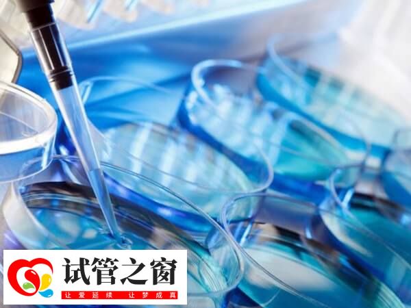 PGT检测可筛查健康胚胎移植