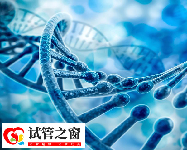 染色体异常可导致胎儿畸形