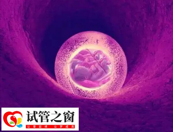 过度熬夜会影响胚胎着床