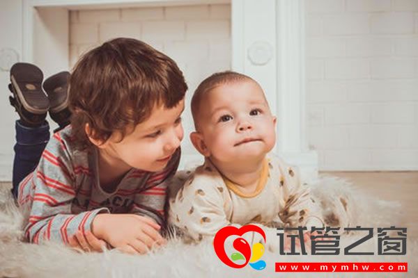 试管之窗 试管之窗