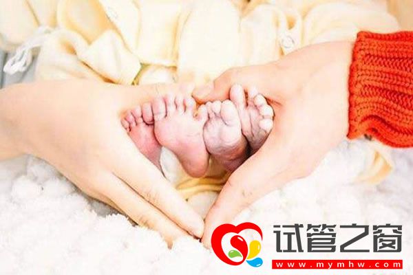 试管之窗 试管之窗