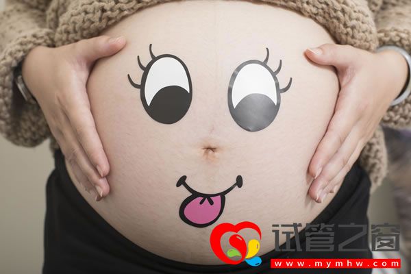 试管之窗 试管之窗
