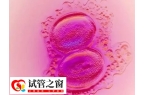 囊胚4bb是不是优质胚胎